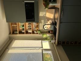1774811079769169067-picture.jpg